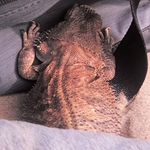 Darren Hurst - @darren.hurst.3576 - Instagram