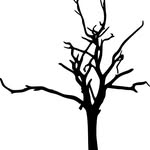 Darren Jee - @storryteller_under_the_tree - Instagram