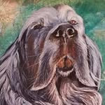 Darren Jessett - @darrenjessett - Instagram