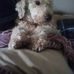 Darren Joy - Facebook