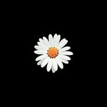 Darren Joy - @darren_joy26 - Instagram