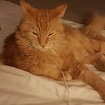 Darren Judd - @notspplicable - Instagram