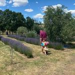 Darren Duffy - @darr.enkaiser - Instagram