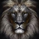 Darren Keen - @darrenkeen2 - Instagram