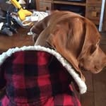 Darren Kettle - @darren.kettle - Instagram