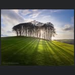 Darren Kettle - Facebook