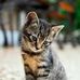 Darren Kyle - Facebook