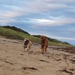 Darren Killen - @darren.killen.18 - Instagram