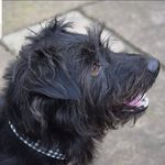 Darren Kirk - @darrenkirk6396 - Instagram