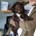 Darren Knowles - @dknowles1971 - Instagram