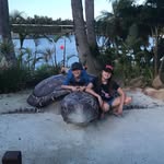 Darren Last - @lasty82 - Instagram