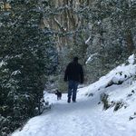 Darren Liddle - @liddle_darren - Instagram