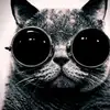Darren Loh - @30321171257 - TikTok