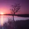 DarrenLoh - @147639897 - TikTok