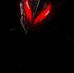 Darren Luzack - Facebook