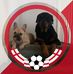 Darren Marsh - Facebook