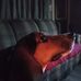 Darin Matlock - Facebook