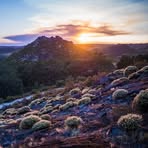 Darren McLachlan - Facebook