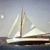 darrenmolnar74 - @darrenmolnar74 - TikTok