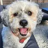 Darren Morley - @darren.morley4 - TikTok