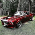 Darren Morrison - @darren.morrison.9843 - Instagram