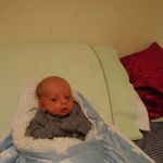 Darren Morrison - @darrenmorrison450 - Instagram