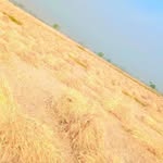 Darren Morrison - @darrenmorrison439 - Instagram