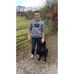Darren Morse - Facebook