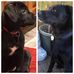 Darren Munson - Facebook