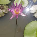 Darren Murphy - @darren.murphy.52012 - Instagram