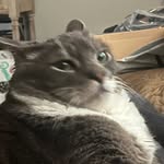 Darren Nickerson - @assorted__donuts - Instagram