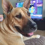 Darren Nolan - @darrennolan_ - Instagram