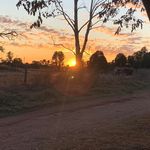 Darren Nolan - @ozlandy - Instagram