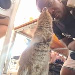 Darren Okello - @darren.okello - Instagram