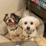 Darren Dorrell - @dorrell50darren - Instagram