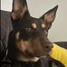 Darren Oswald - Facebook