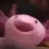 darrenottman - @daddylmaokys - TikTok