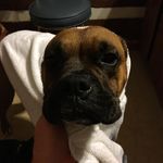 Darren Parrish - @darren.parrish - Instagram
