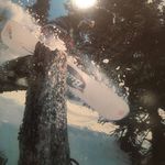 Darren Parrish - @parrishdarren - Instagram