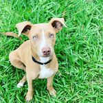 Darren Patton - @broly81489 - Instagram