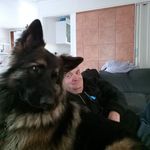 Darren Peel - @peel.darren - Instagram