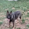 Darren Perry - @darren.perry60 - TikTok