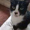 Darren Perry - @darren.perry59 - TikTok