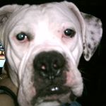 Darren Peterman - @saltydragon32 - Instagram
