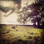 Darren Petermann - @darren_petermann - Instagram
