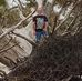 Darren Reece - Facebook
