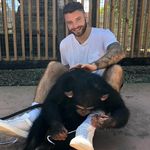 Darren Rice - @darrenrice16 - Instagram