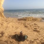 Darren Giilck - @darrengiilck_royallepage - Instagram