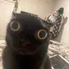 darrenroyal1 - @darrenroyal1 - TikTok