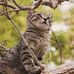 Darren Sabo - Facebook
